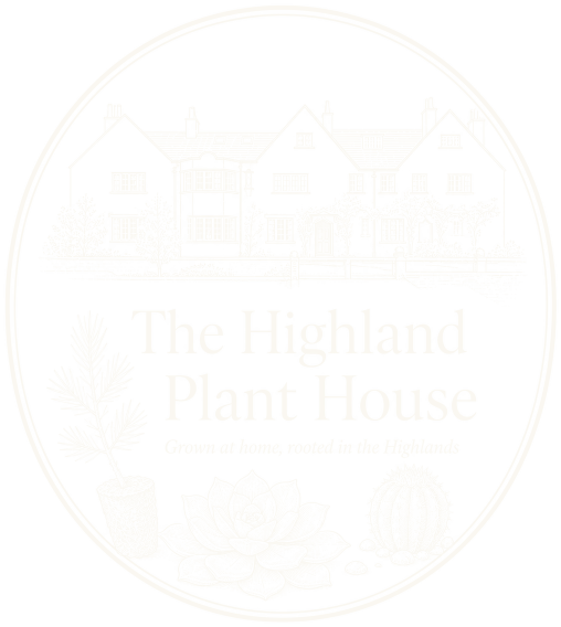 The Highland Plant House — grown at home, rooted in the Highlands